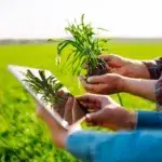 agroindustria inteligente en Colombia