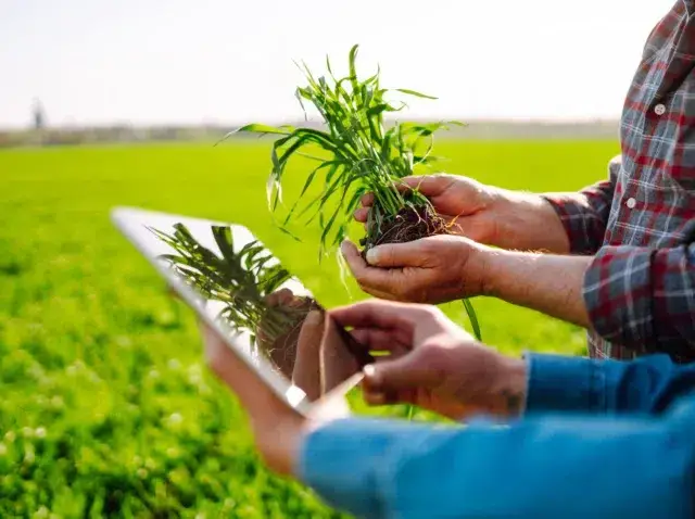 agroindustria inteligente en Colombia
