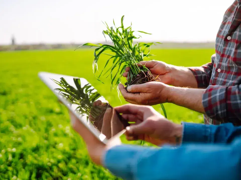 agroindustria inteligente en Colombia